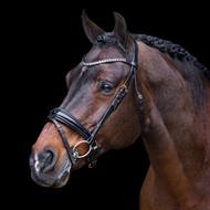 IR Trense Olympia - Sort/Rosegold - C 